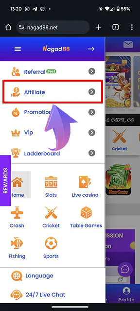 Enter the affiliate program area.